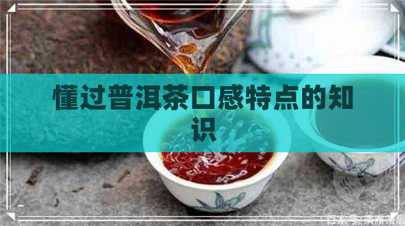 懂过普洱茶口感特点的知识