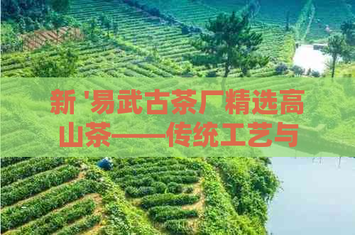 新 '易武古茶厂精选高山茶——传统工艺与现代科技的完美结合'