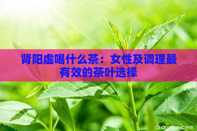 肾阳虚喝什么茶：女性及调理最有效的茶叶选择