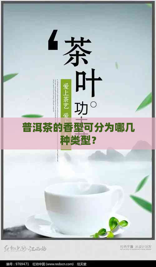 普洱茶的香型可分为哪几种类型？