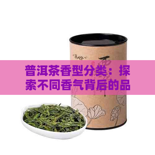 普洱茶香型分类：探索不同香气背后的品种与制作工艺