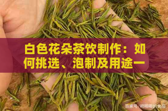 白色花朵茶饮制作：如何挑选、泡制及用途一览