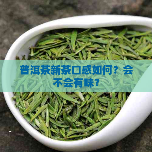 普洱茶新茶口感如何？会不会有味？