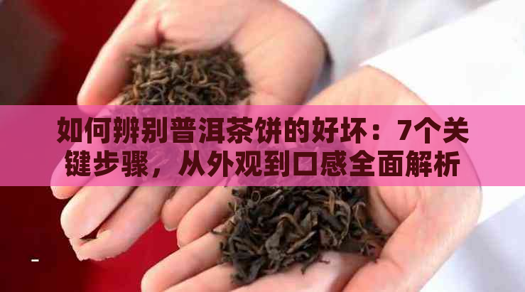 如何辨别普洱茶饼的好坏：7个关键步骤，从外观到口感全面解析