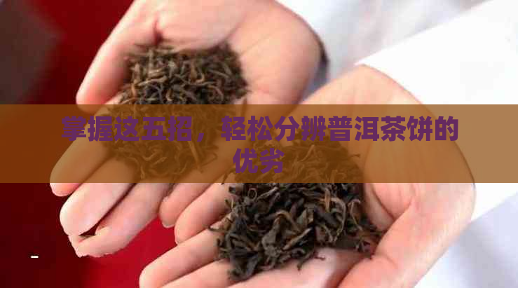 掌握这五招，轻松分辨普洱茶饼的优劣