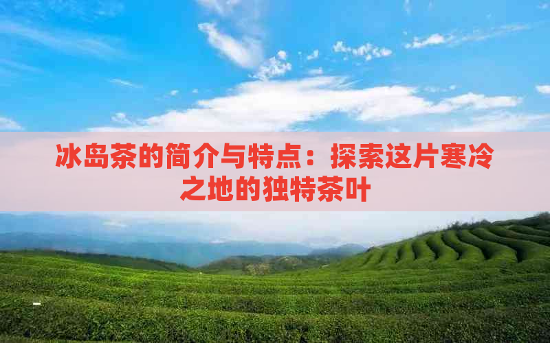 冰岛茶的简介与特点：探索这片寒冷之地的独特茶叶