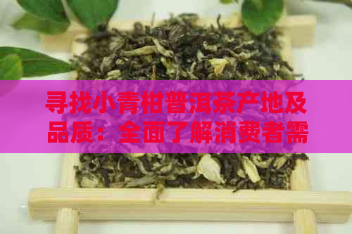 寻找小青柑普洱茶产地及品质：全面了解消费者需求的解答指南