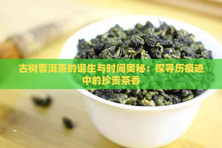 古树普洱茶的诞生与时间奥秘：探寻历痕迹中的珍贵茶香