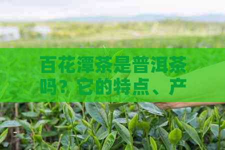 百花潭茶是普洱茶吗？它的特点、产地和品饮方法有哪些？