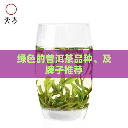 绿色的普洱茶品种、及牌子推荐