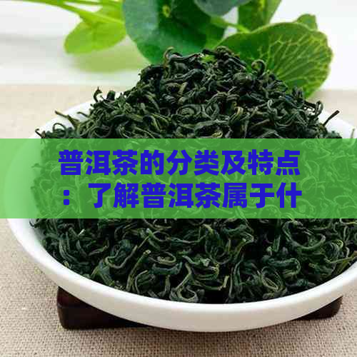 普洱茶的分类及特点：了解普洱茶属于什么类型茶以及其独特魅力