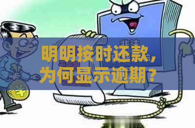 明明按时还款，为何显示逾期？ - 关于信用卡还款问题的解答