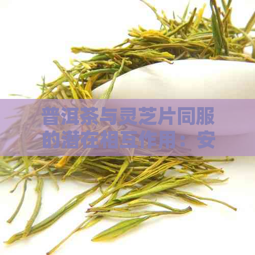 普洱茶与灵芝片同服的潜在相互作用：安全还是禁忌？