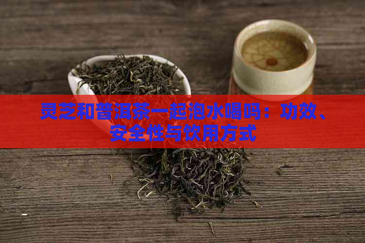 灵芝和普洱茶一起泡水喝吗：功效、安全性与饮用方式