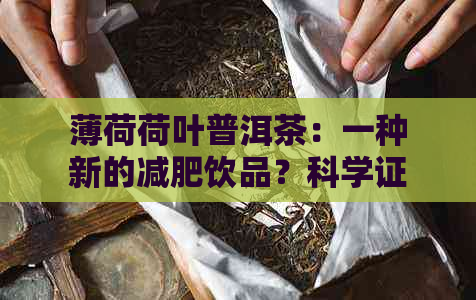 薄荷荷叶普洱茶：一种新的减肥饮品？科学证据解析