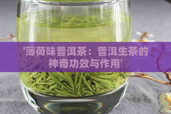 '薄荷味普洱茶：普洱生茶的神奇功效与作用'