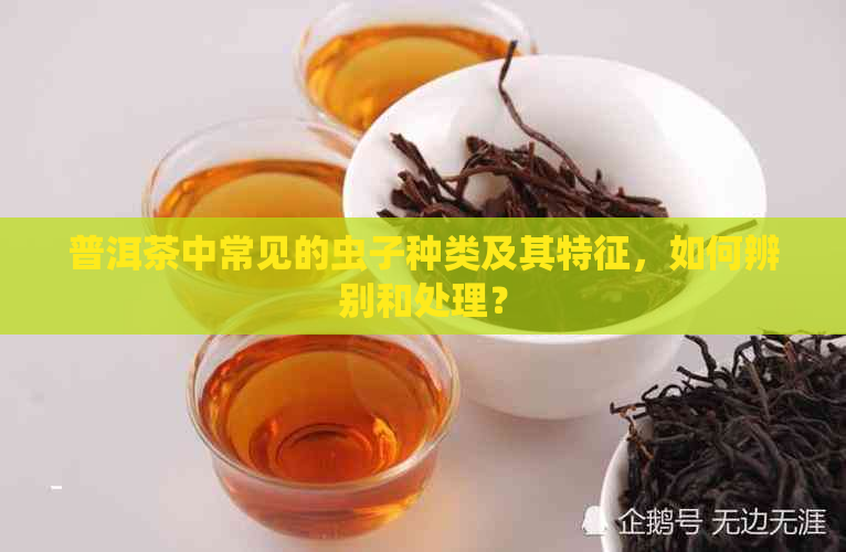 普洱茶中常见的虫子种类及其特征，如何辨别和处理？