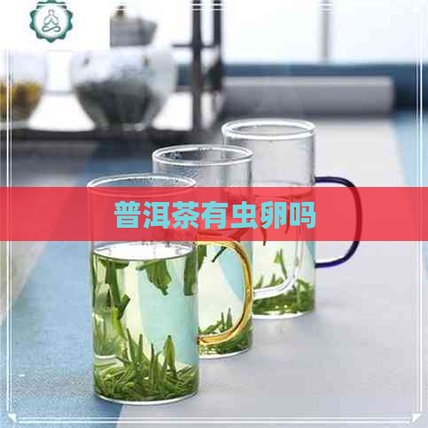 普洱茶有虫卵吗