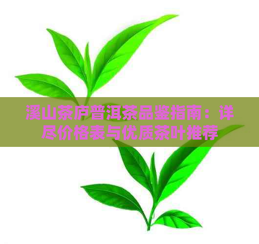 溪山茶庐普洱茶品鉴指南：详尽价格表与优质茶叶推荐