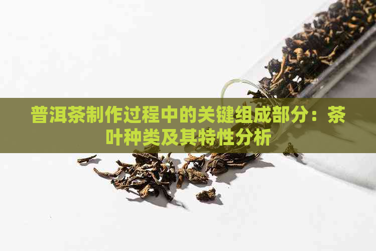 普洱茶制作过程中的关键组成部分：茶叶种类及其特性分析