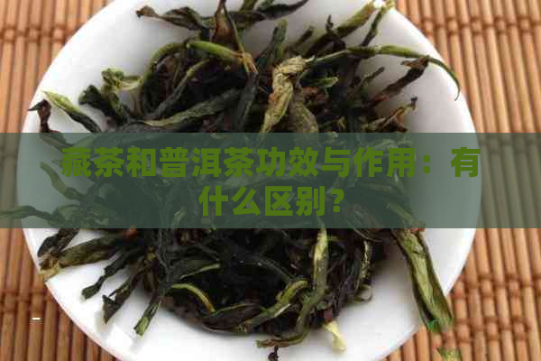 藏茶和普洱茶功效与作用：有什么区别？