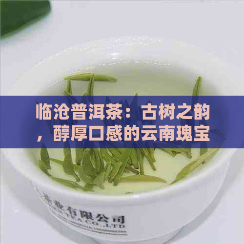 临沧普洱茶：古树之韵，醇厚口感的云南瑰宝