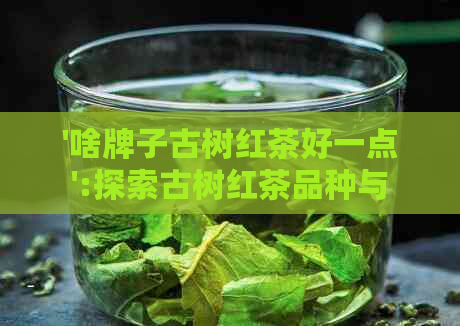 '啥牌子古树红茶好一点':探索古树红茶品种与品质，找出优质。