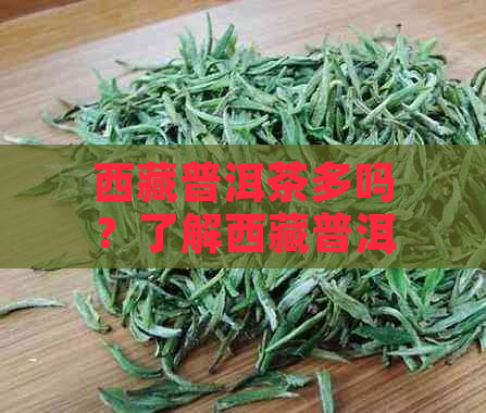      普洱茶多吗？了解     普洱茶特点及产量