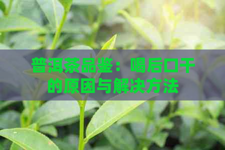 普洱茶品鉴：喝后口干的原因与解决方法