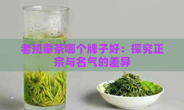 老班章茶哪个牌子好：探究正宗与名气的差异