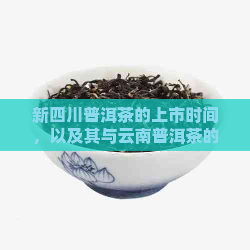 新四川普洱茶的上市时间，以及其与云南普洱茶的区别和联系