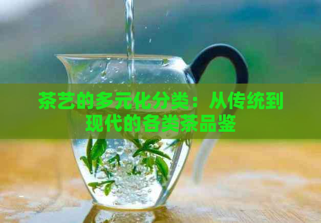 茶艺的多元化分类：从传统到现代的各类茶品鉴