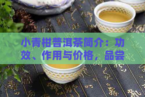 小青柑普洱茶简介：功效、作用与价格，品尝体验如何？