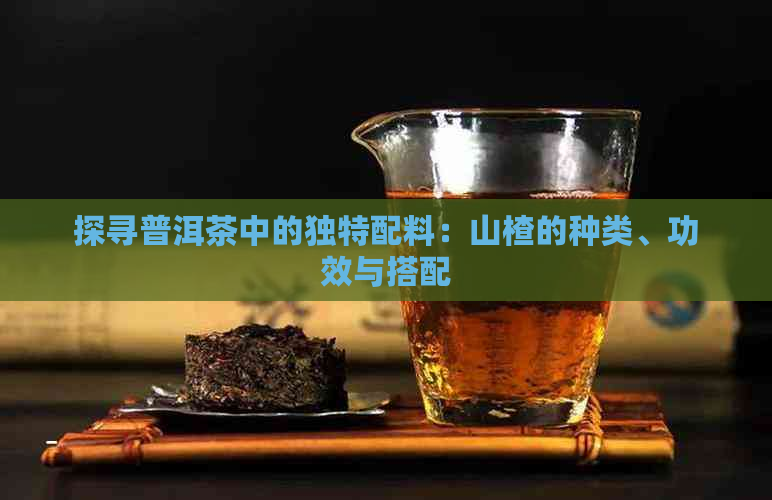 探寻普洱茶中的独特配料：山楂的种类、功效与搭配