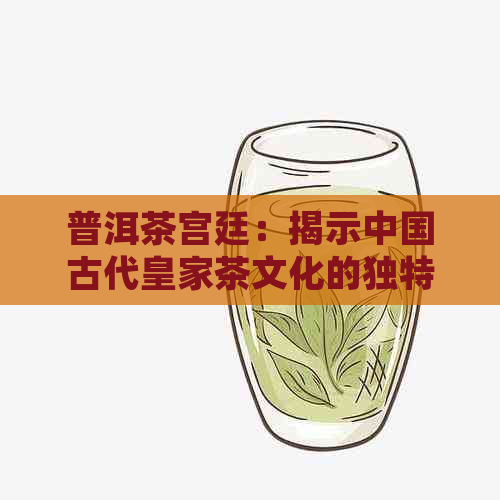 普洱茶宫廷：揭示中国古代皇家茶文化的独特魅力