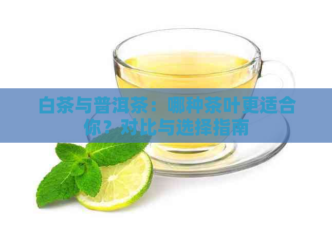 白茶与普洱茶：哪种茶叶更适合你？对比与选择指南