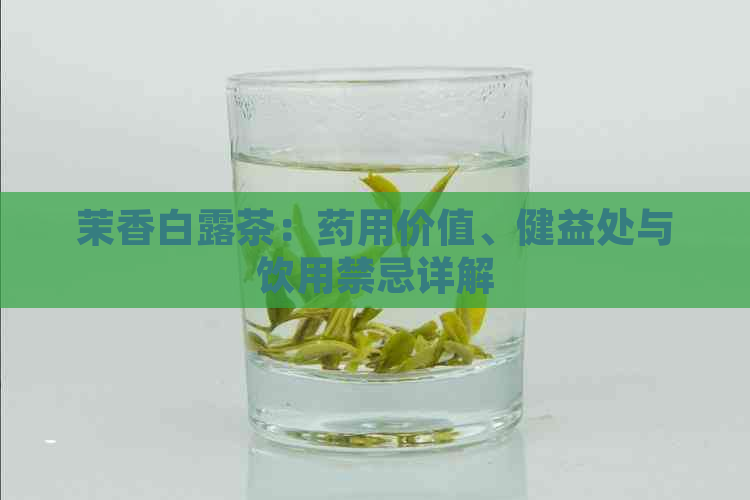 茉香白露茶：药用价值、健益处与饮用禁忌详解