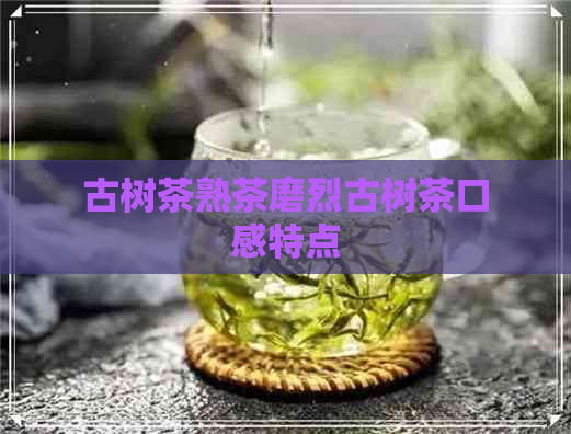 古树茶熟茶磨烈古树茶口感特点