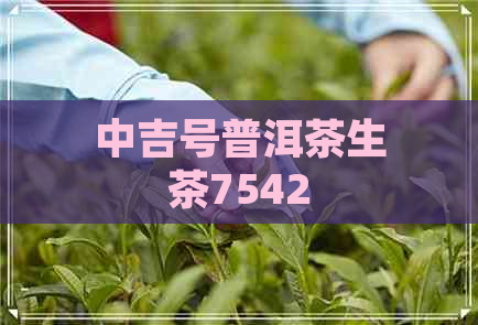 中吉号普洱茶生茶7542