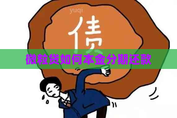 微粒贷如何本金分期还款