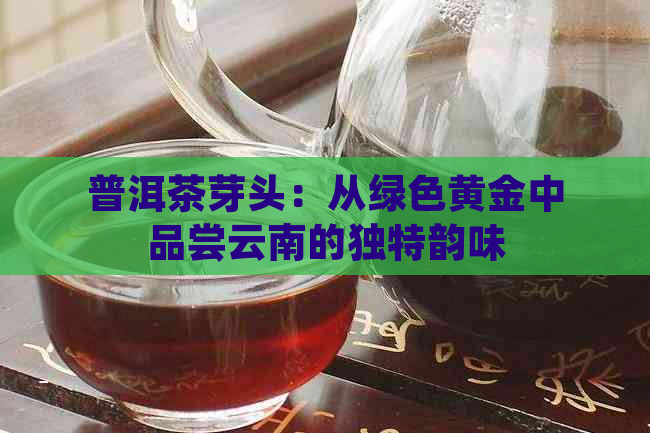 普洱茶芽头：从绿色黄金中品尝云南的独特韵味