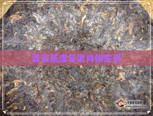 普洱茶虎年生肖饼生茶