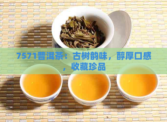 7571普洱茶：古树韵味，醇厚口感，收藏珍品