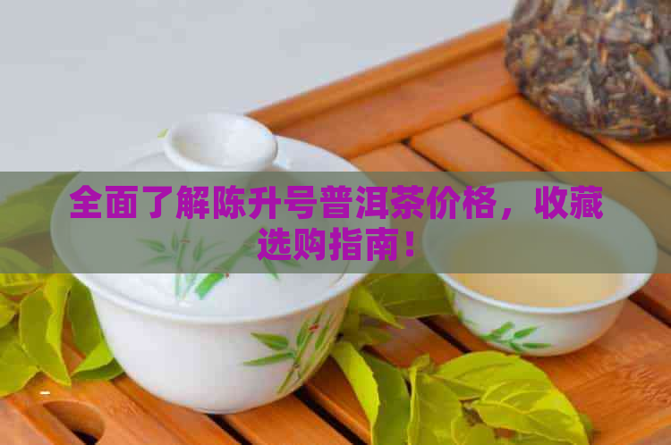 全面了解陈升号普洱茶价格，收藏选购指南！