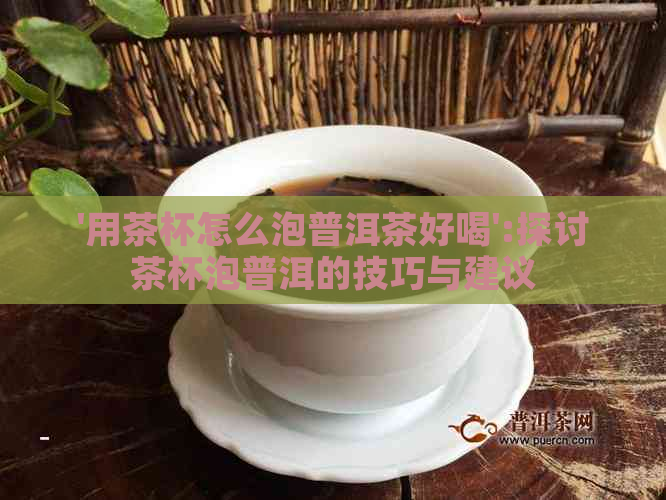 '用茶杯怎么泡普洱茶好喝':探讨茶杯泡普洱的技巧与建议