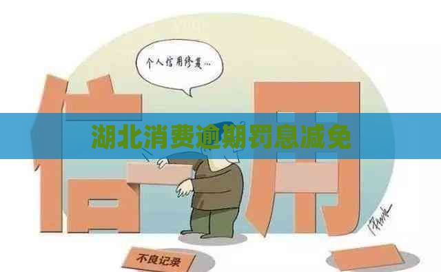 湖北消费逾期罚息减免