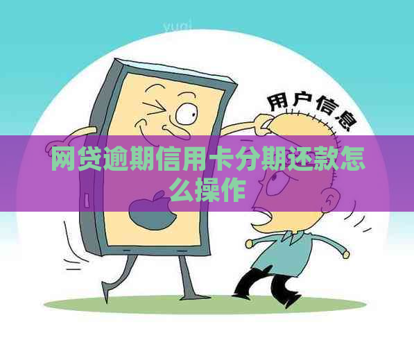 网贷逾期信用卡分期还款怎么操作