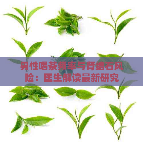 男性喝茶频率与肾结石风险：医生解读最新研究