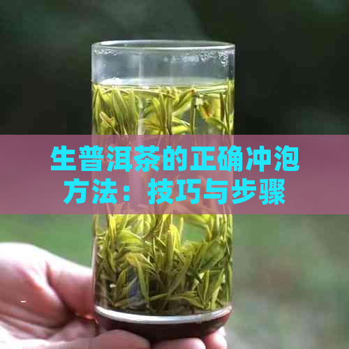 生普洱茶的正确冲泡方法：技巧与步骤