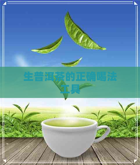 生普洱茶的正确喝法工具